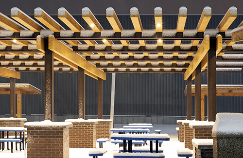 Illustrative example of alumina wood from Google Search