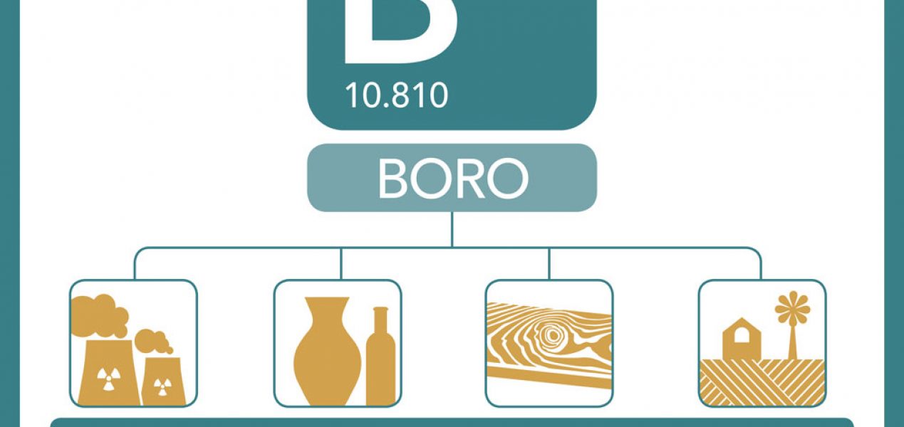 Illustrative example of características del boro from Google Search