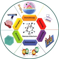 Illustrative example of sic applications from Google Search