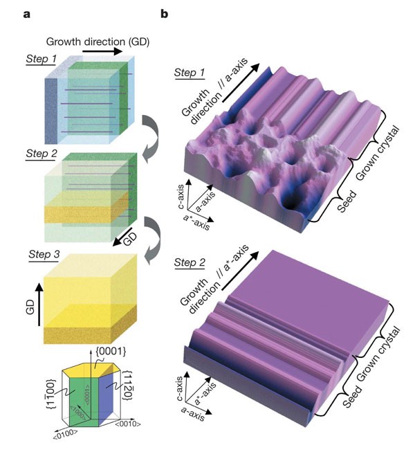 Illustrative example of silicon carbide single crystal